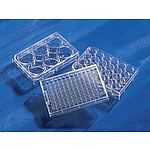 Costar 6 Well Clear, Flat Bottom, Ultra Low Attachment Multiple Well Plates with Lid, Sterile (3471)