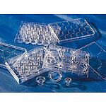 Costar 6.5mm Transwell with 3.0µm Pore PLyester (PET) Membrane Insert, Sterile (3472)