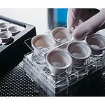 Costar Netwell 6 Well Carrier Kit for 24mm Inserts, Nonsterile (3521)