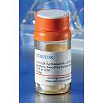 Synthemax IIㅡSC Substrate, 10 mg Vial (3535)