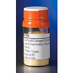 Collagen Coated Microcarriers, 10g Vial (3786)