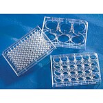 Costar 96 Well Clear VㅡBottom Tissue CultureㅡTreated Microplate with Lid, Sterile, Individually Wrapped (3894)