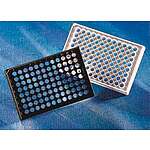 96 Well Flat Clear Bottom Black PLystyrene TCㅡTreated Microplates, 20 per Bag, with Lid, Sterile (3904)