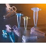 0.2mL PLypropylene PCR Tubes with Attached Dome Cap (6531)