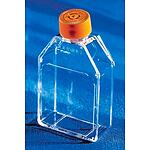 25cm2 Rectangular Canted Neck Not Treated Cell Culture Flask with Vent Cap (431463)