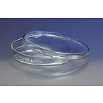 PYREX 60x15mm Petri Dish Bottom Only (3160-60BO)
