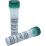 Lyophilized exosomes from Plasma of Healthy donors
