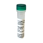 Lyophilized plant derived ELNs from seaberries