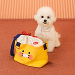 마이펫 산책가방