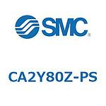 CA2Y Series(CA2Y80Z)