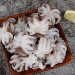 재호식품 냉동 쭈꾸미 (38-42미)
