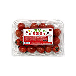 스테비아 토마토 (대추방울/500g)