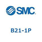 B21-1P