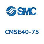 CMSE4