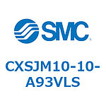 듀얼로드 실린더 CXSJM10