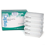 CAPTIVA 10U 필터 96WELL PL