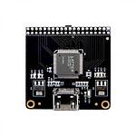 1080P@60Hz HDMI Video Output Module SiI9134 (AN9134)