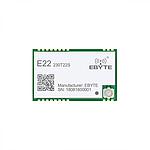 산업용 SX1262 로라 230MHz 5km 장거리 무선 모듈 (E22-230T22S)