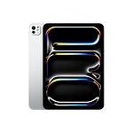 아이패드 프로 11 M4 Wi-Fi+Cellular 1TB with Nano-texture 글래스 - 실버 (MWRQ3KH/A)