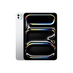 아이패드 프로 11 M4 Wi-Fi 1TB with Nano-texture 글래스 - 실버 (MWR73KH/A)
