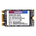 GKM330 M.2 SATA 2242 (64GB TLC)
