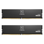 T-CREATE DDR5 PC5-48000 CL48 CLASSIC 서린 (64GB (32GB*2)) (6000)