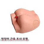 엉덩이 근육주사 모형