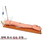 정맥주사실습 모형