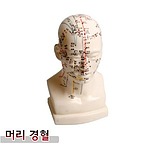 머리경혈