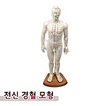 경혈인형