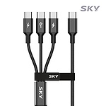 Type-C to 3in1 60W 고속 충전케이블, SKY-C2C3-3IN1-1.2M-1 (블랙/1.2m)