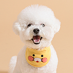 춘식이 빕 메가 얼굴