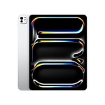 아이패드 프로 13 M4 Wi-Fi+Cellular with Nano-texture 글래스 (2TB)