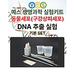 DNA 추출키트 (구강상피세포 / YES-D2)