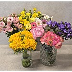 (법인영업) 프리지아 30송이+절화보존제/옐로우 30송이