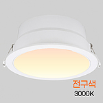 다운라이트 LED