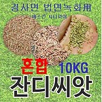 (법인전용) 경사면용 혼합양잔디씨앗 10kg