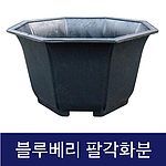 고무다라 블루베리 팔각화분