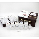 MVPrep Plasmid Kit