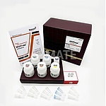 MVPrep FFPE DNA Kit