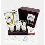 MVPrep DNAOUT Total RNA Kit