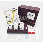 MVPrep RNA Clean-Up Kit