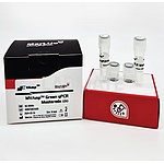 MVAmp Green qPCR Mastermix (2X)