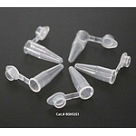PCR Tube