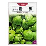 스위트 바질 씨앗