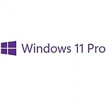 Windows 11 Pro COEM (DSP) [기업용]
