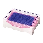 IsoFreeze 색상 변환 PCR 랙 (P5640-T4)