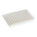 PCR 플레이트 (T0296N, Non-Skirted)