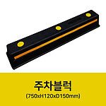 주차블럭