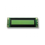 캐릭터 LCD (BC2002AYPNEH)